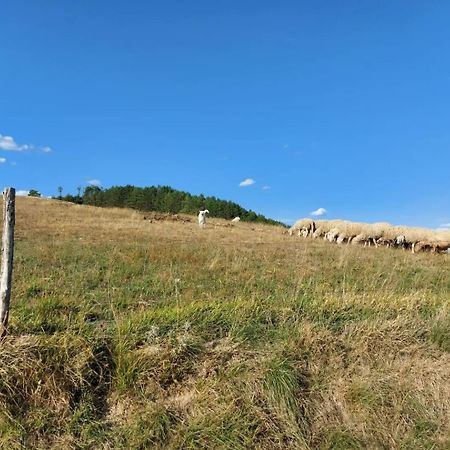 Bnb Bagno Di Bosco Gubbio Eksteriør billede