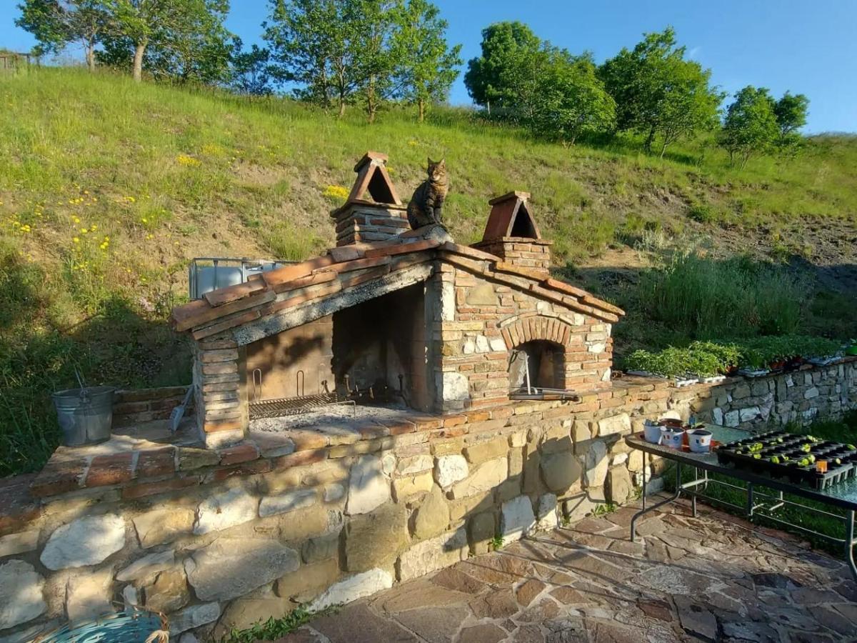 Bnb Bagno Di Bosco Gubbio Eksteriør billede