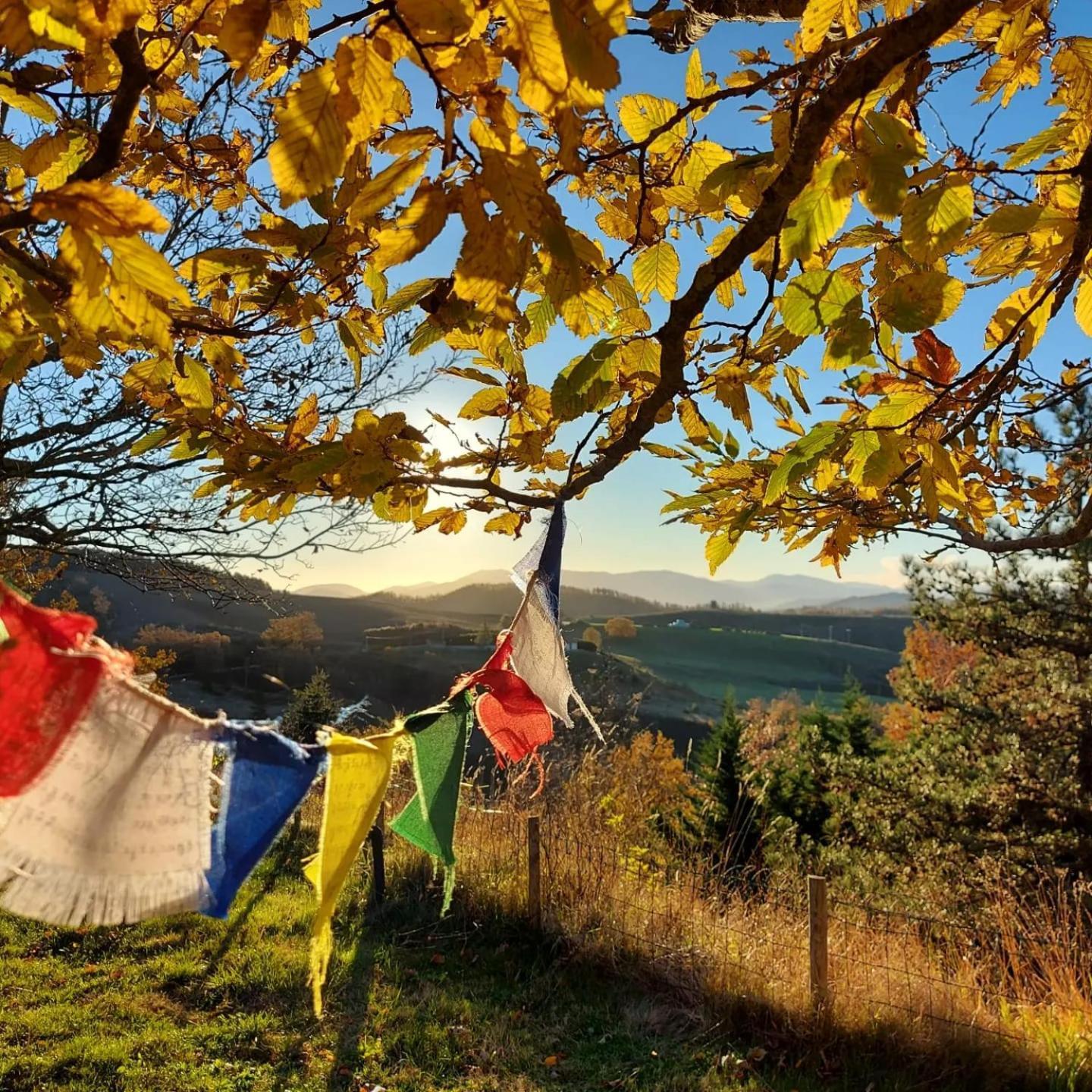 Bnb Bagno Di Bosco Gubbio Eksteriør billede