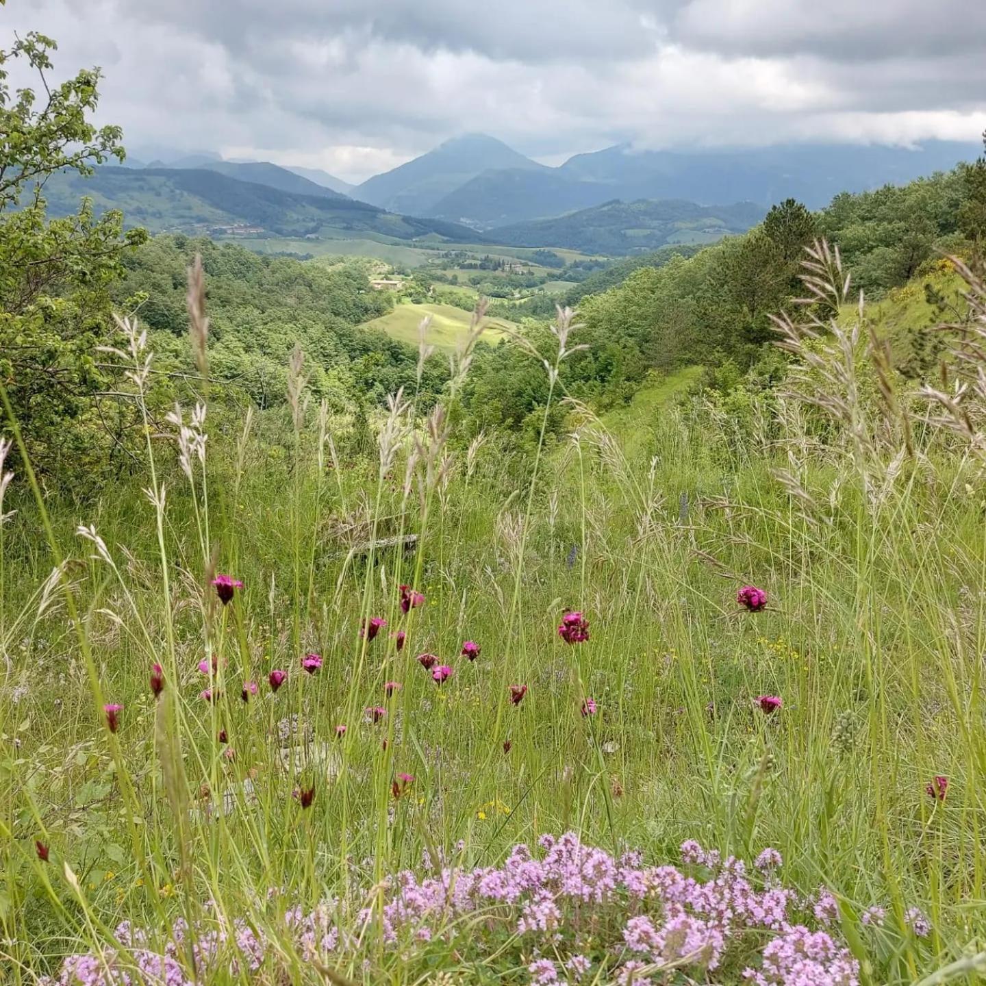 Bnb Bagno Di Bosco Gubbio Eksteriør billede