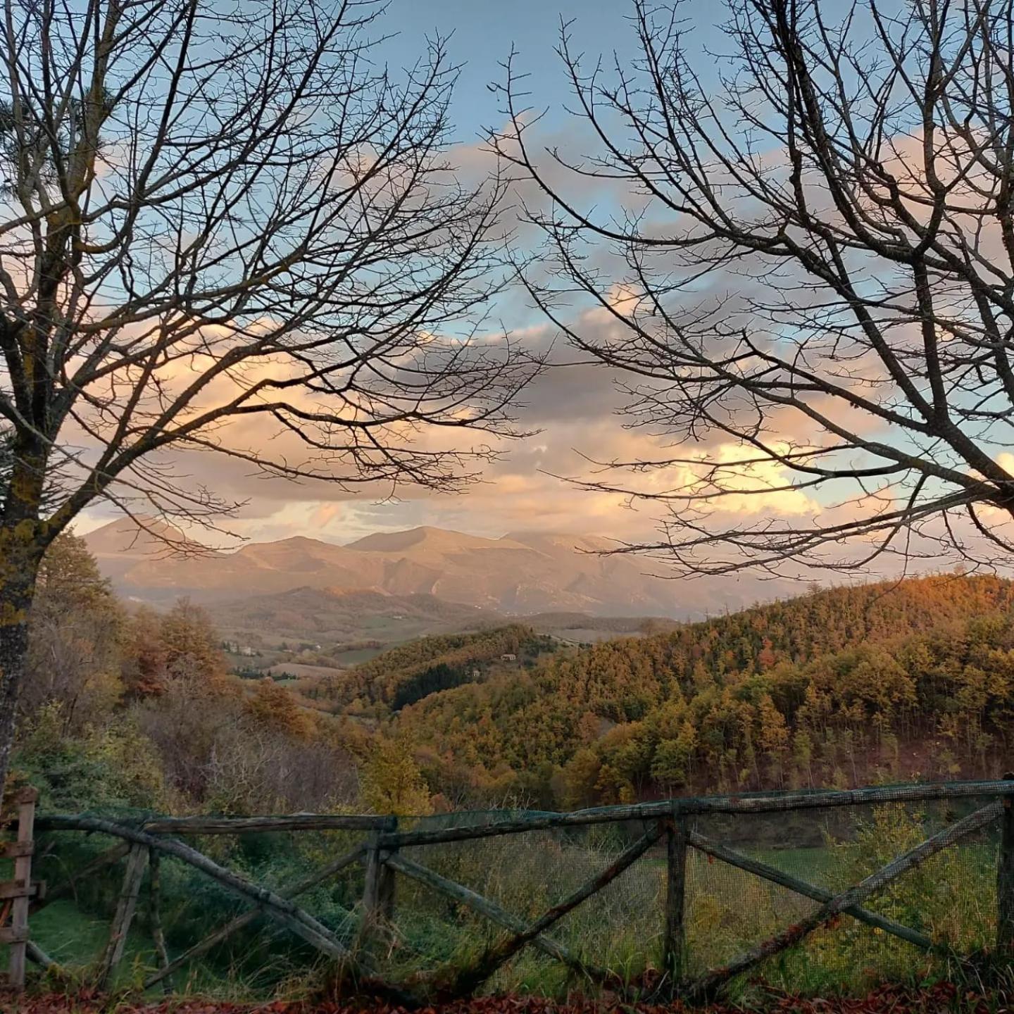 Bnb Bagno Di Bosco Gubbio Eksteriør billede